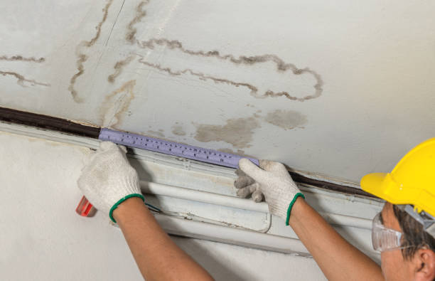 Reliable Emergency Water Damage Restoration contractor in Buffalo, OK by Water Damage Irwin